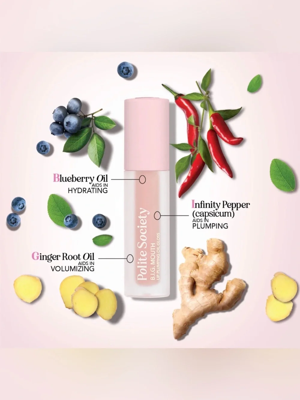 NEW✅ Polite Society •BIG Mouth Lip Plumping Oil Gloss •Loud & Proud • New in Box